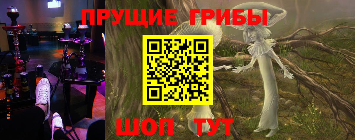 Мурино  Галлюциногенные грибы мухоморы  Вход с VPN 